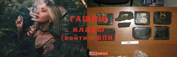 шишки Горнозаводск