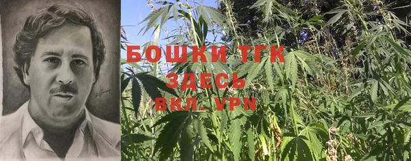 марки nbome Горняк