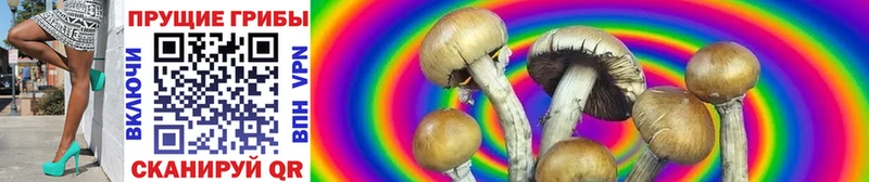 Купить  Чусовой  Псилоцибиновые грибы GOLDEN TEACHER 